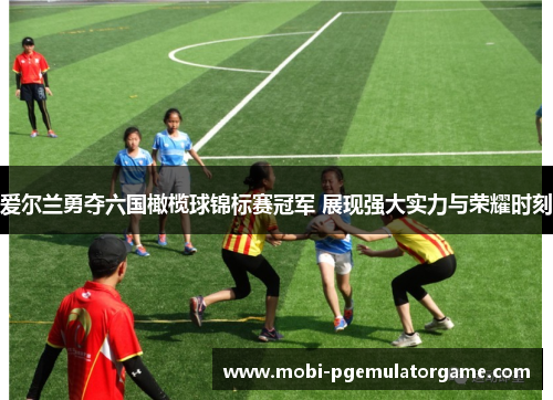 爱尔兰勇夺六国橄榄球锦标赛冠军 展现强大实力与荣耀时刻 爱尔兰勇夺六国橄榄球锦标赛冠军 展现强大实力与荣耀时刻